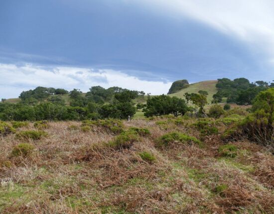 Landschaft von Fanal.