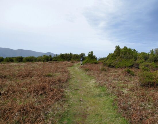 Landschaft von Fanal.