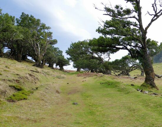 Landschaft von Fanal.