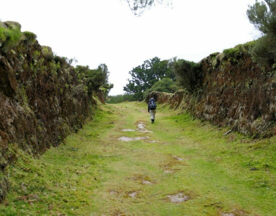 Landschaft von Fanal.