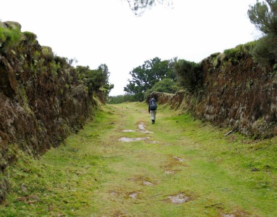 Landschaft von Fanal.