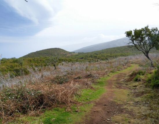 Landschaft von Fanal.