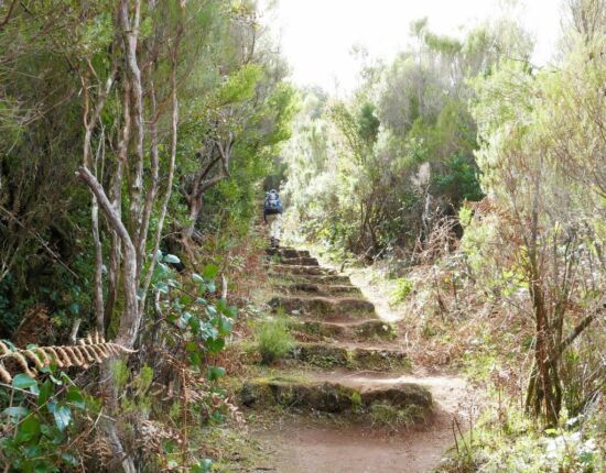 Landschaft von Fanal.
