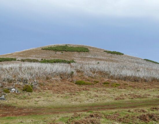 Hier hat ein Brand gewütet.