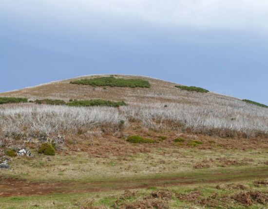 Hier hat ein Brand gewütet.