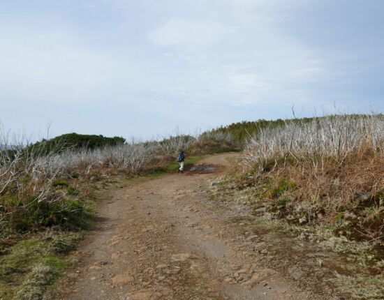Landschaft von Fanal.
