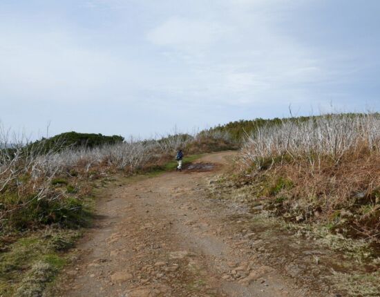 Landschaft von Fanal.