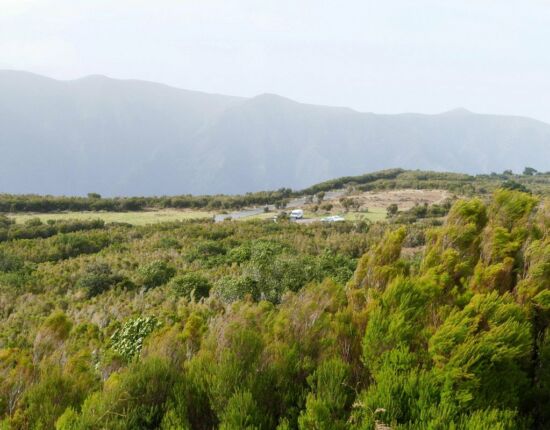 Landschaft von Fanal.