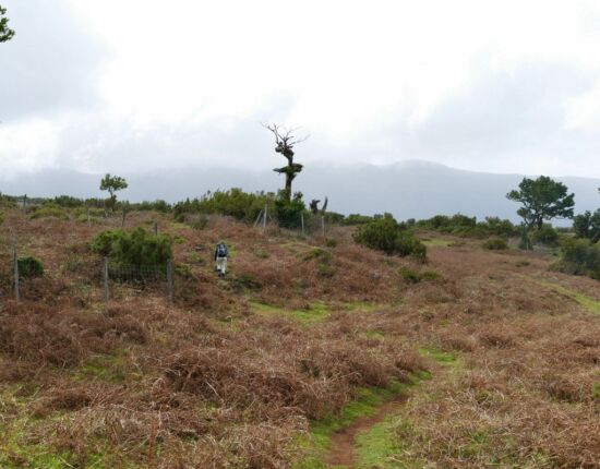 Landschaft von Fanal.