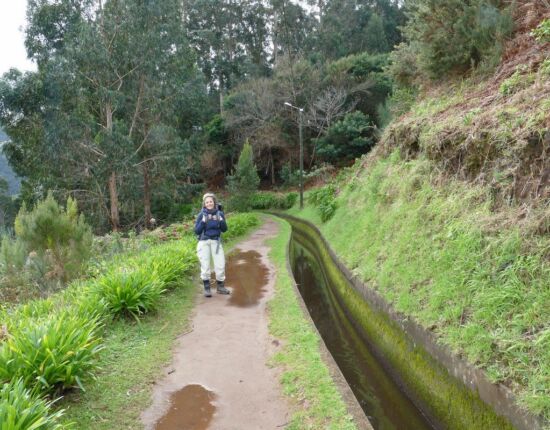 Levada da Central da Ribeira da Janela.