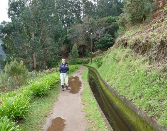 Levada da Central da Ribeira da Janela.