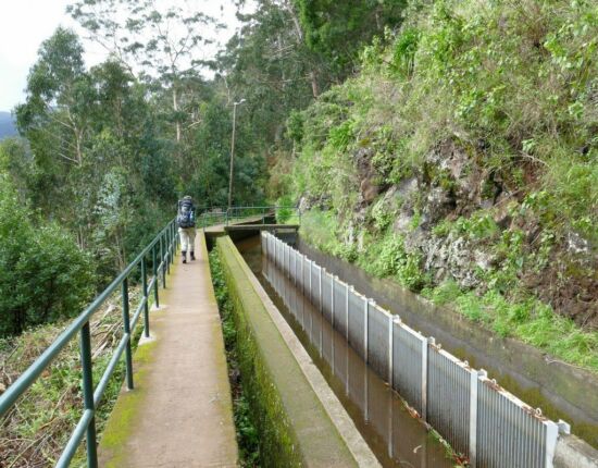 Levada da Central da Ribeira da Janela.