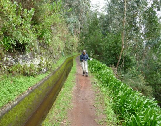 Levada da Central da Ribeira da Janela.
