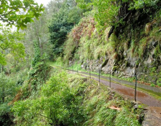 Levada da Central da Ribeira da Janela.