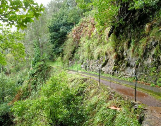 Levada da Central da Ribeira da Janela.
