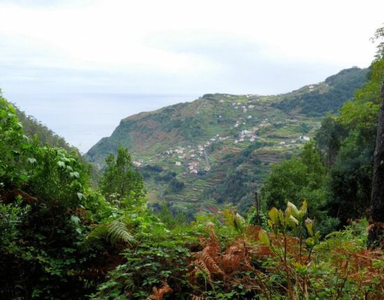 Levada da Central da Ribeira da Janela.