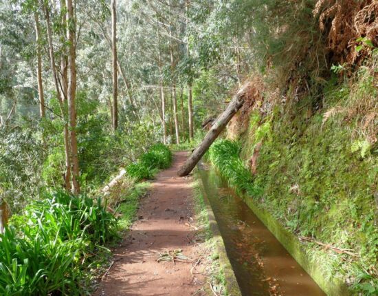 Levada da Central da Ribeira da Janela.