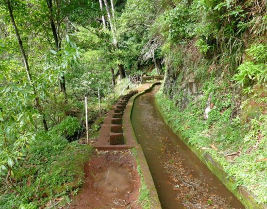 Levada da Central da Ribeira da Janela.
