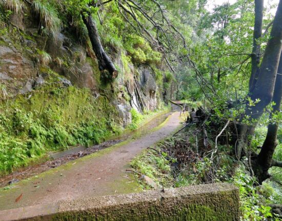 Levada da Central da Ribeira da Janela.