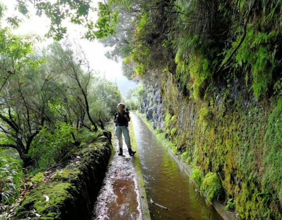 Levada da Central da Ribeira da Janela.