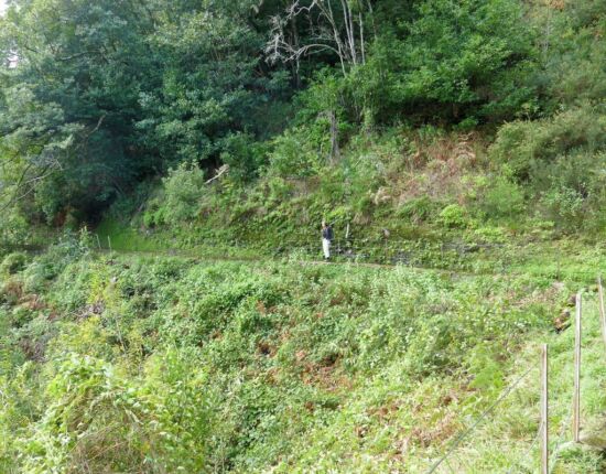 Levada da Central da Ribeira da Janela.