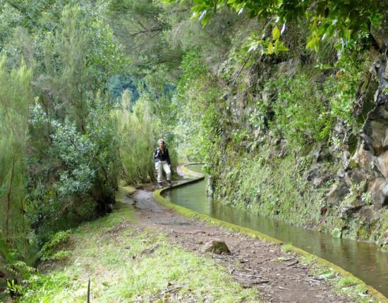 Levada da Central da Ribeira da Janela.
