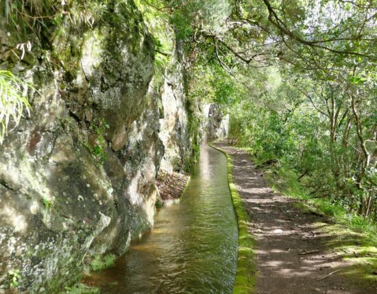 Levada da Central da Ribeira da Janela.
