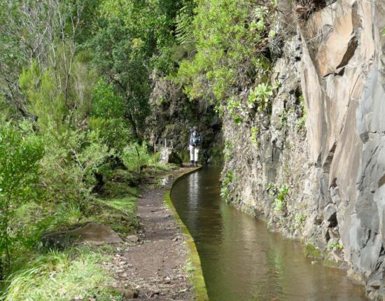 Levada da Central da Ribeira da Janela.