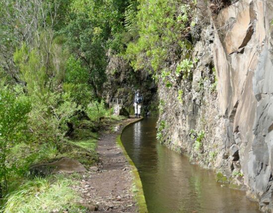 Levada da Central da Ribeira da Janela.