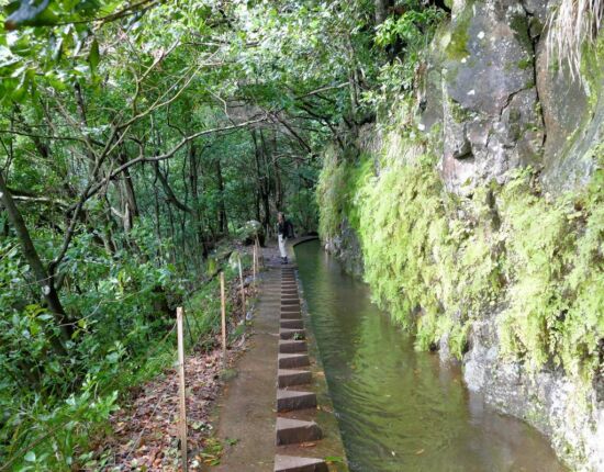 Levada da Central da Ribeira da Janela.