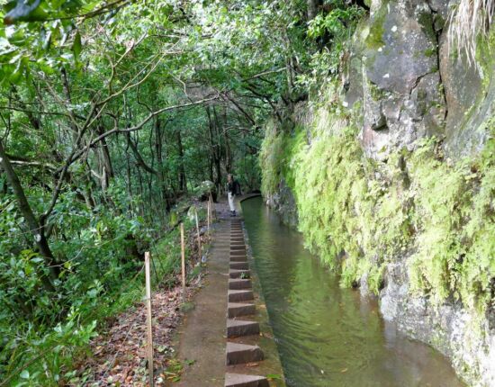 Levada da Central da Ribeira da Janela.