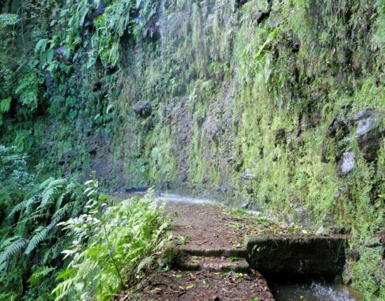 Levada da Central da Ribeira da Janela.