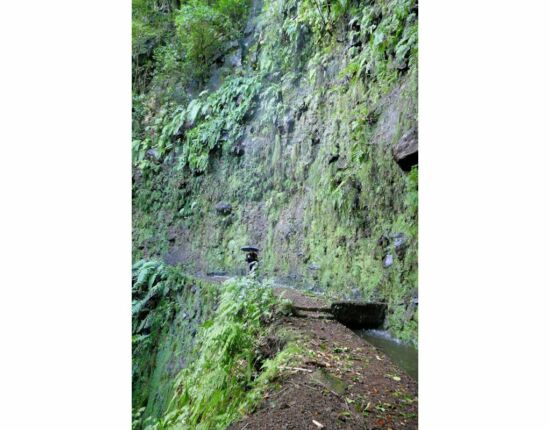 Levada da Central da Ribeira da Janela.