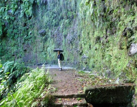Levada da Central da Ribeira da Janela.