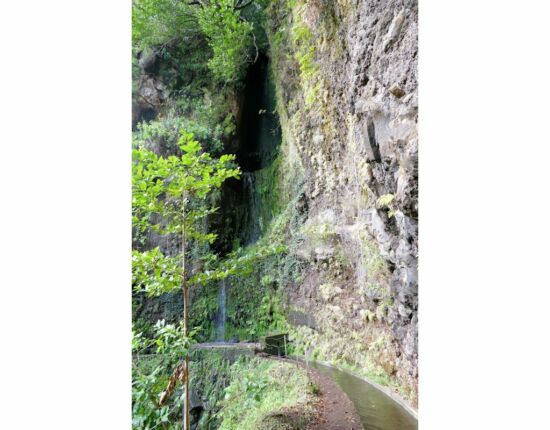Levada da Central da Ribeira da Janela.