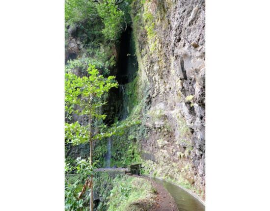 Levada da Central da Ribeira da Janela.