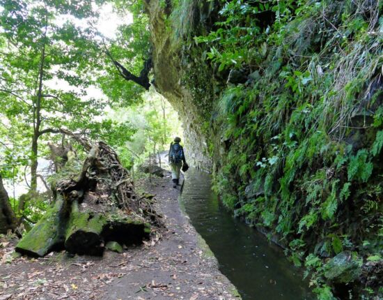 Levada da Central da Ribeira da Janela.