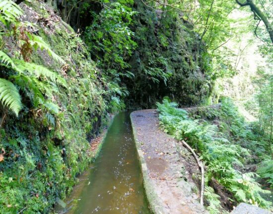 Levada da Central da Ribeira da Janela.