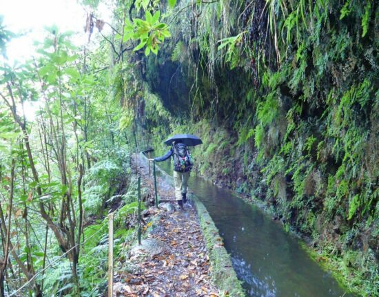 Levada da Central da Ribeira da Janela.