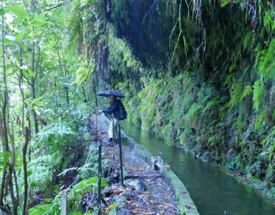 Levada da Central da Ribeira da Janela.