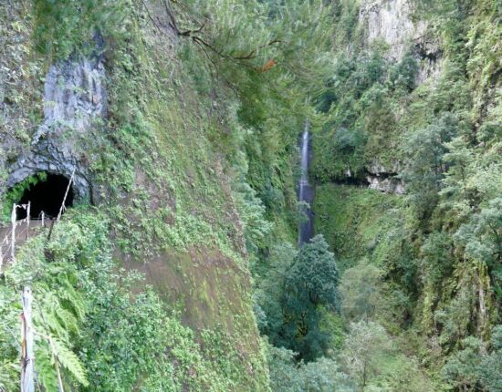 Levada da Central da Ribeira da Janela.