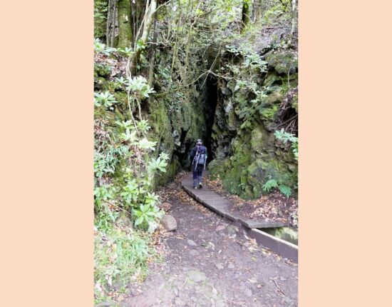Levada do Furado.