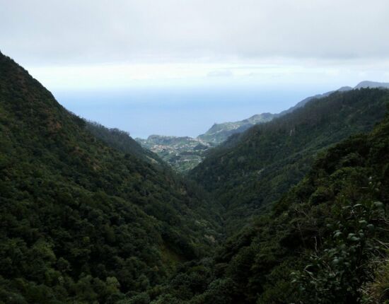 Levada do Furado - Blick auf die Nordküste.