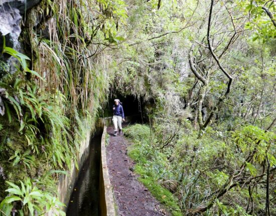 Levada do Furado.