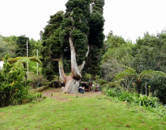 Levada do Furado - Picknickplatz beim Forsthaus.