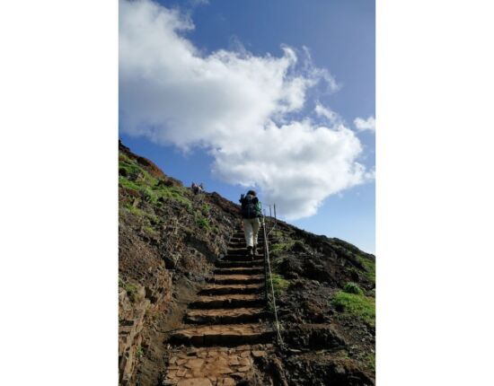 Ponta de São Lourenço - die Wege sind hervorragend angelegt und gesichert.