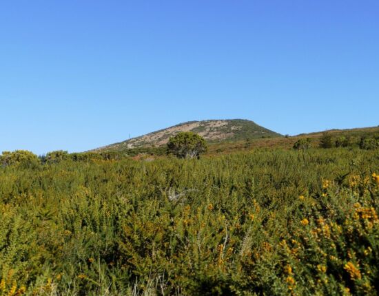 Blick vom Parkplatz auf den Pico Ruivo do Paúl da Serra.