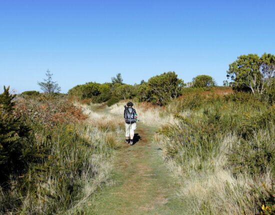 Noch ist der Weg breit.