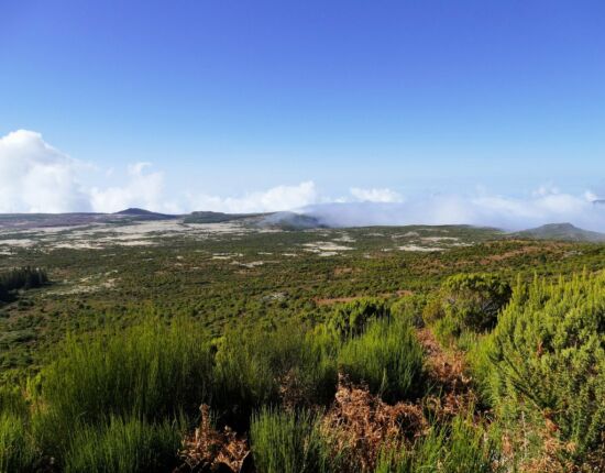 Blick über die Hochebene Paúl da Serra.