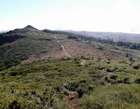 Abstieg vom Pico Ruivo do Paúl da Serra.